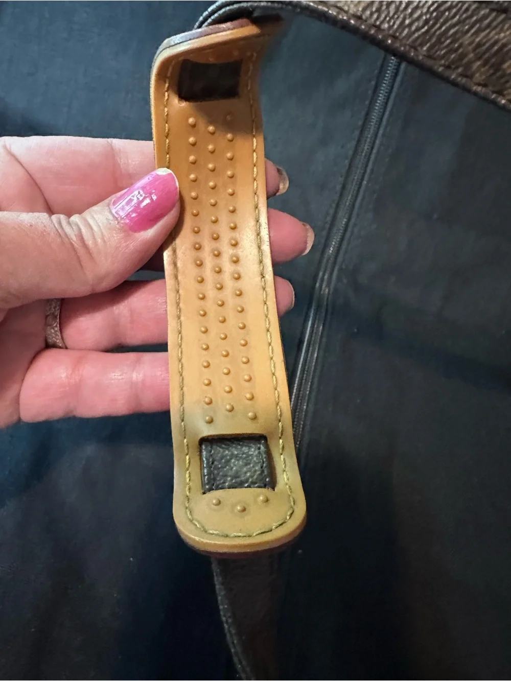 Louis Vuitton Monogram Danube crossbody
